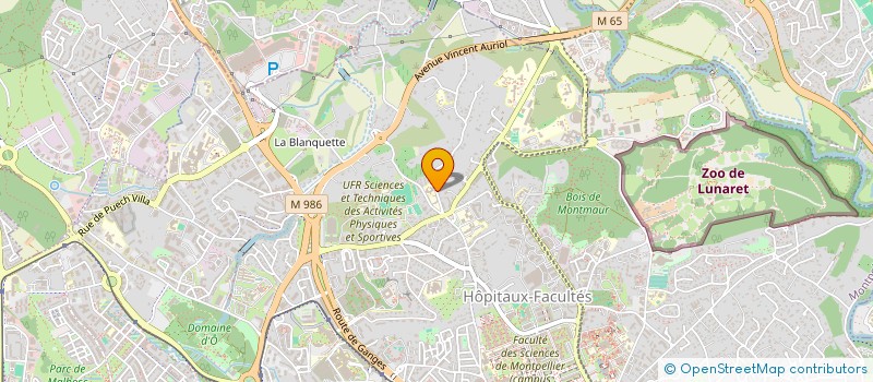 localisation de l'entreprise SAINT JEAN- SAINT PIERRE SCI à MONTPELLIER