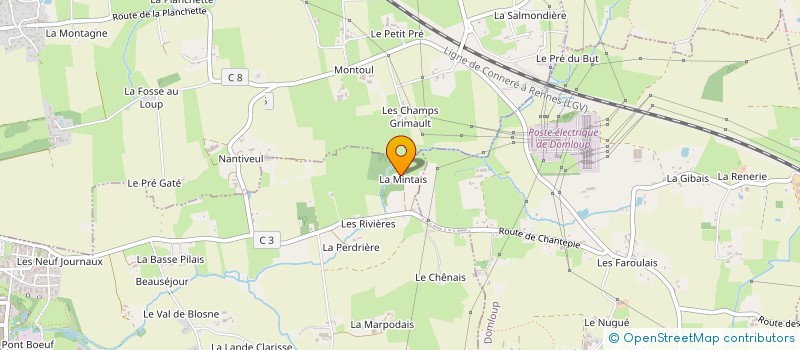 localisation de l'entreprise SAINT LOUIS-MARIE DE MONTFORT  CHANTEPIE