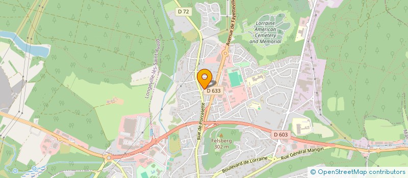 localisation de l'entreprise SAINT-NABOR TRANSPORTS  SAINT-AVOLD