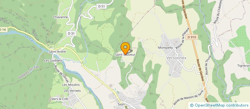 localisation de l'entreprise SAINT SAUVEUR à VALLIERES-SUR-FIER