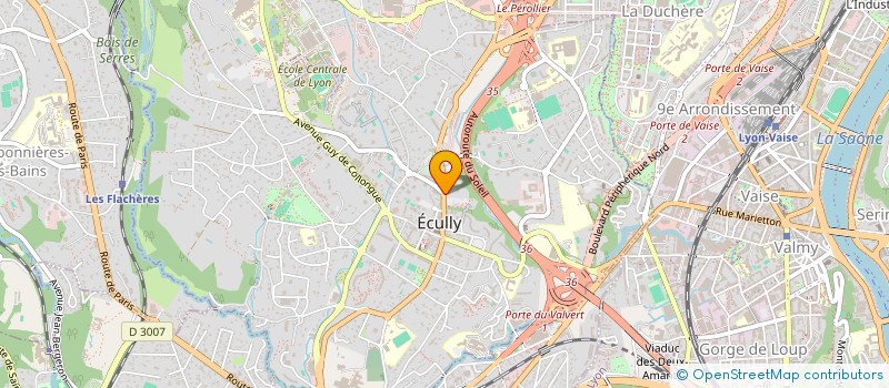 localisation de l'entreprise SAINT SAUVEUR  ECULLY