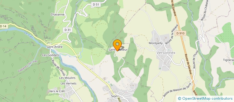 localisation de l'entreprise SAINT SAUVEUR  VALLIERES-SUR-FIER