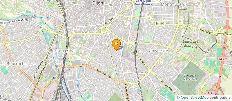 localisation de l'entreprise SAINT-VINCENT  DIJON