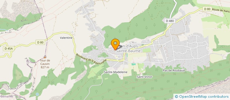 localisation de l'entreprise SAINTE BAUME D'AUPS à PLAN-D'AUPS-SAINTE-BAUME