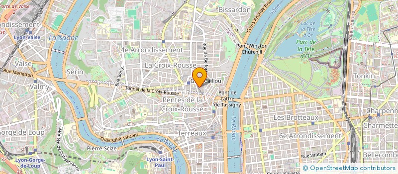 localisation de l'entreprise SAKONI à LYON