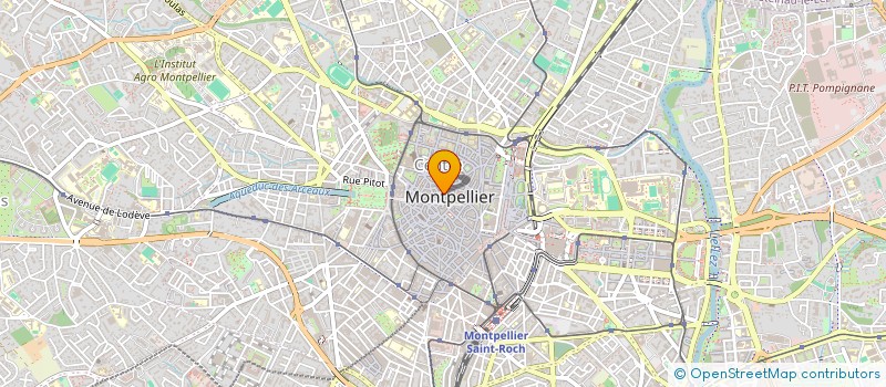 localisation de l'entreprise SALAD & PASTA à MONTPELLIER