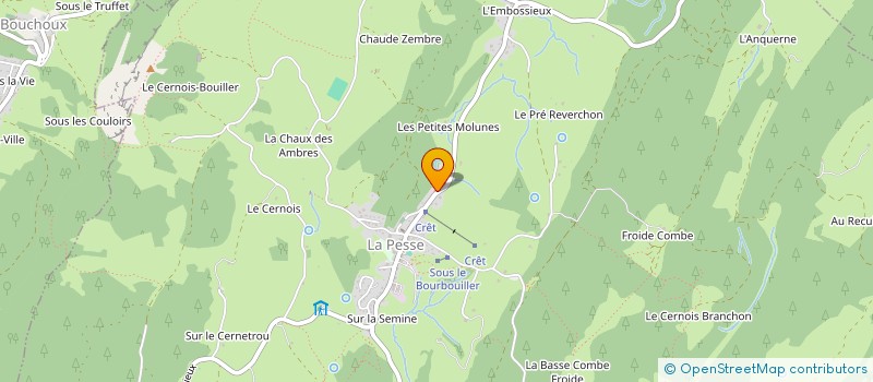 localisation de l'entreprise SALAISONS DU CHALAM à LA PESSE