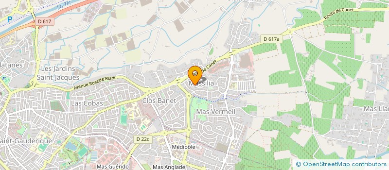 localisation de l'entreprise SALANG IMMOBILIER  PERPIGNAN