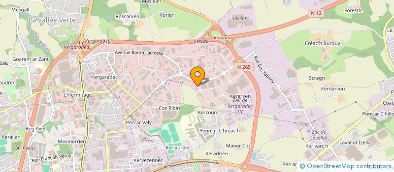 localisation de l'entreprise SALAUN CONSULTING  GUIPAVAS