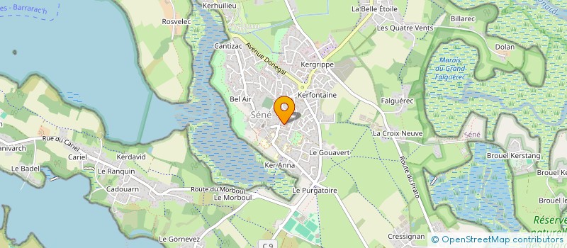 localisation de l'entreprise SALDIS à SENE