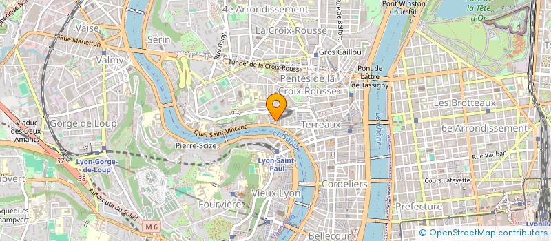 localisation de l'entreprise SALES GOSSES INK à LYON