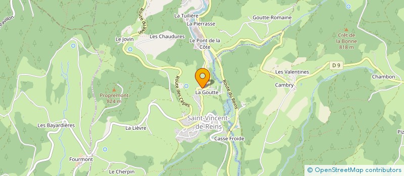 localisation de l'entreprise SALI  SAINT-VINCENT-DE-REINS