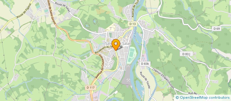localisation de l'entreprise SALIES ELECTRO SERVICES à SALIES-DU-SALAT