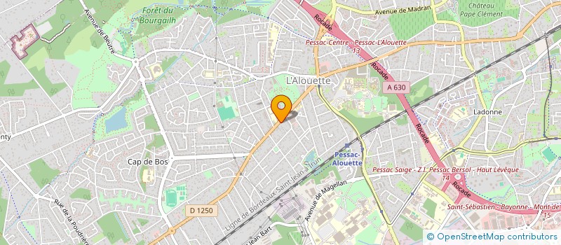 localisation de l'entreprise SALIFOU à PESSAC