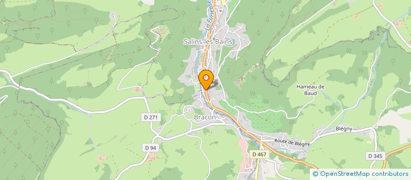 localisation de l'entreprise SALINS FLORE à SALINS-LES-BAINS