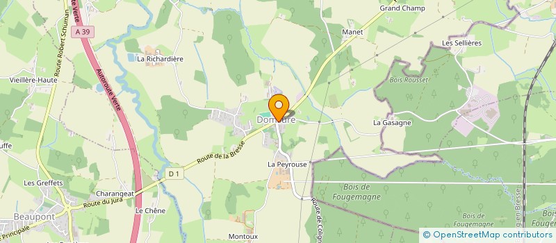 localisation de l'entreprise SALMONE FAYE à DOMSURE