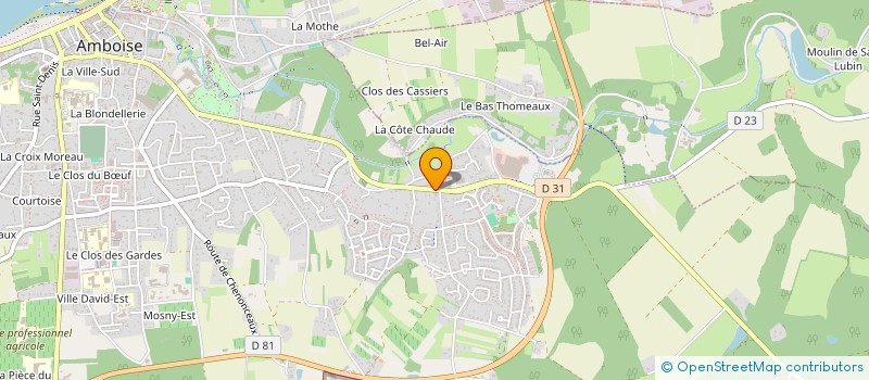 localisation de l'entreprise SALSAMANIA  AMBOISE