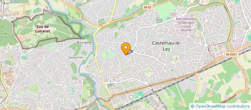 localisation de l'entreprise SALT-GROUP  CASTELNAU-LE-LEZ