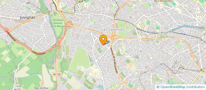 localisation de l'entreprise SALTY & CO  MONTPELLIER