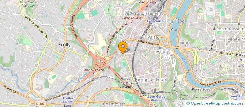 localisation de l'entreprise SALUT MICHEL THIBAULT JP à LYON