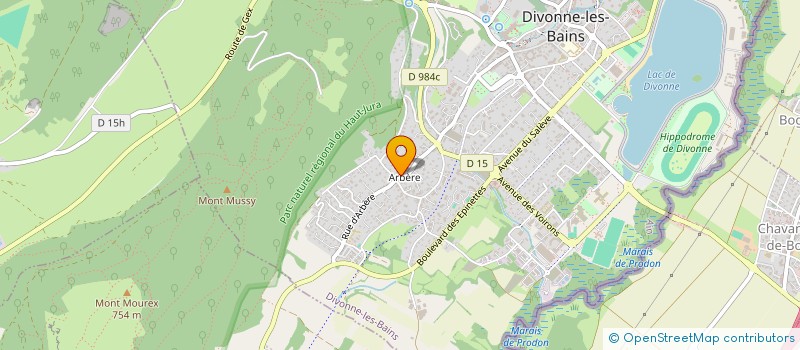localisation de l'entreprise SALVI HYACINTHE ET ROGER à DIVONNE-LES-BAINS
