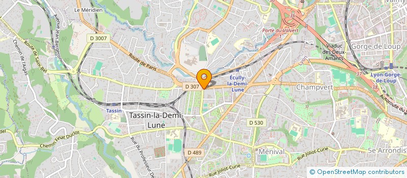 localisation de l'entreprise SAMERLIMMO  TASSIN-LA-DEMI-LUNE