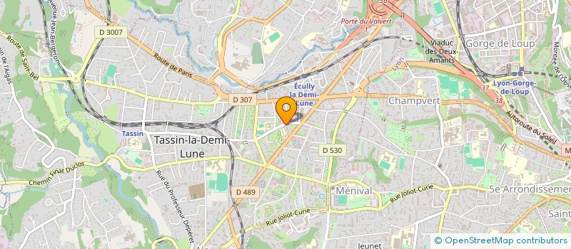 localisation de l'entreprise SAMOU SUNU ARTS  TASSIN-LA-DEMI-LUNE