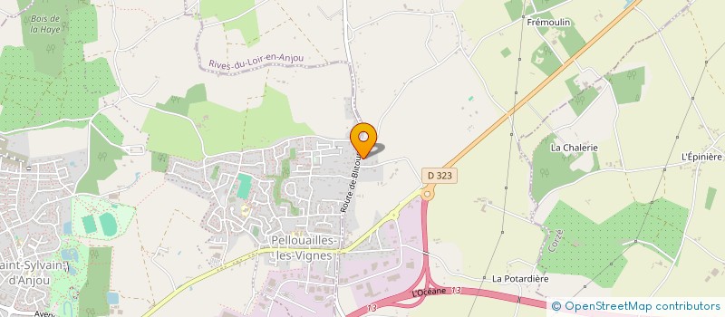 localisation de l'entreprise SAMSON REMY à RIVES-DU-LOIR-EN-ANJOU