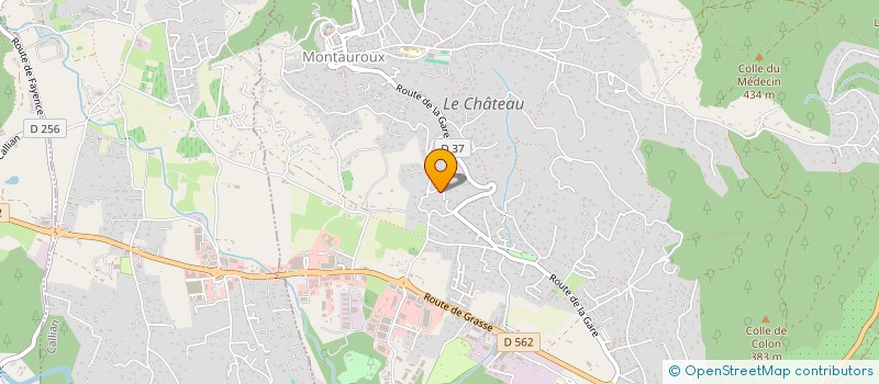 localisation de l'entreprise SAMY  MONTAUROUX