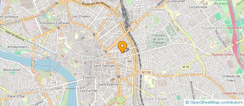 localisation de l'entreprise SAN-LEO  TOULOUSE