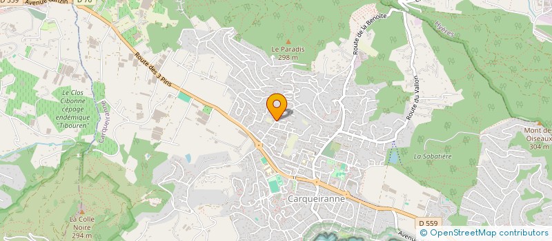 localisation de l'entreprise SANICLIM PACA  CARQUEIRANNE