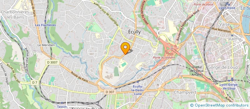 localisation de l'entreprise SANSOVINO  ECULLY