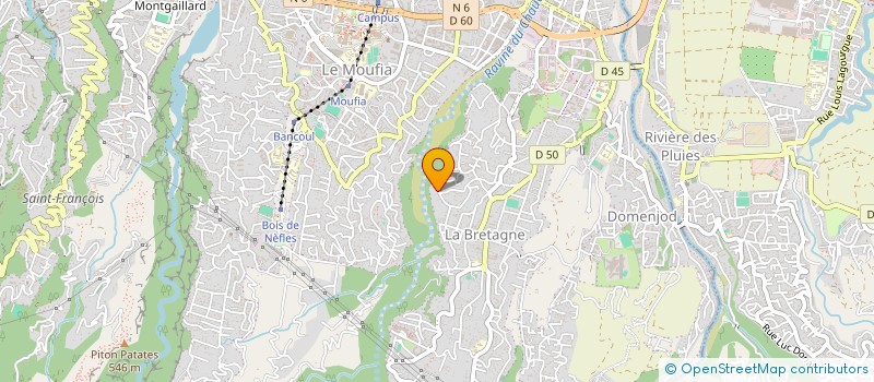 localisation de l'entreprise SANTE METISSE RUN  SAINT-DENIS