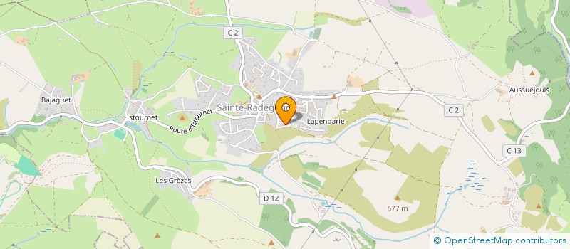 localisation de l'entreprise SANTIAGO  SAINTE-RADEGONDE