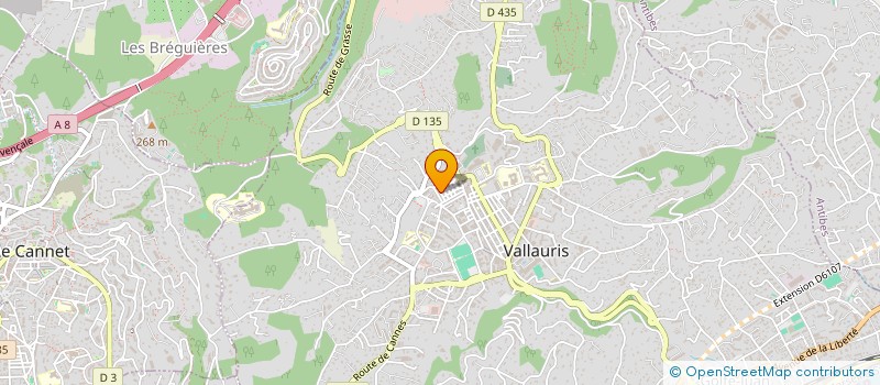 localisation de l'entreprise SANTINI ROBERT ET LUCIE à VALLAURIS