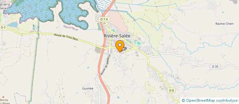 localisation de l'entreprise SAP à RIVIERE-SALEE