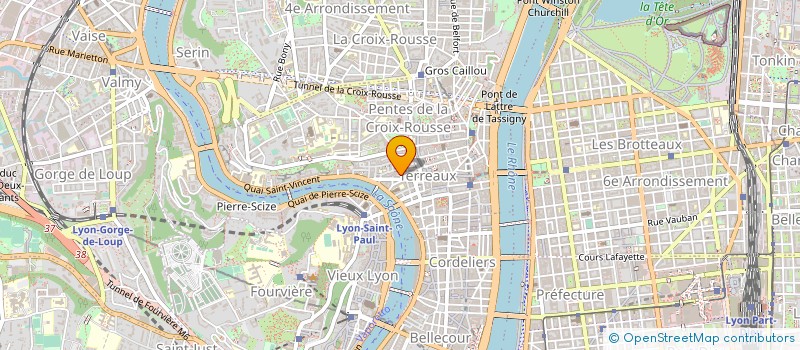 localisation de l'entreprise SAPIENS SAPIENS à LYON