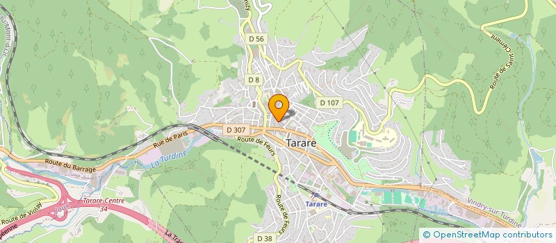 localisation de l'entreprise SARAY à TARARE