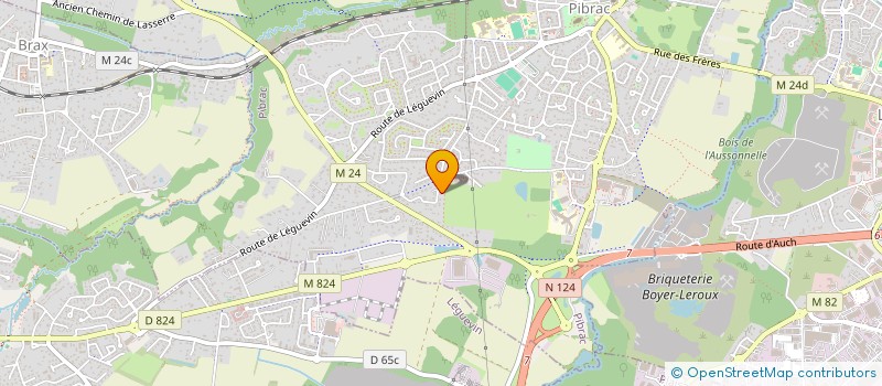 localisation de l'entreprise SARAZA  PIBRAC