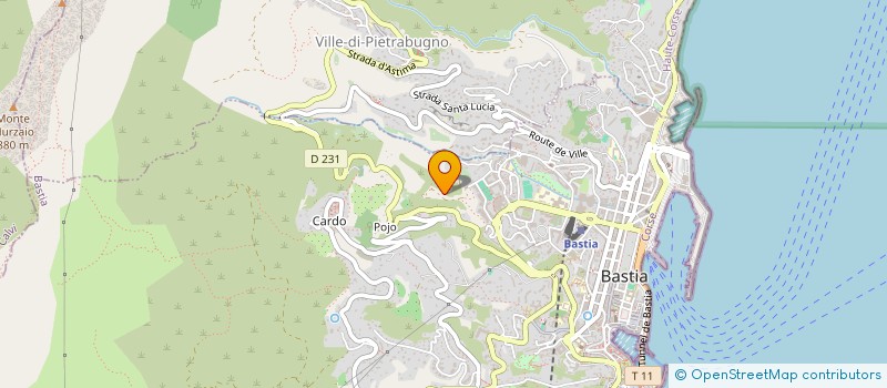 localisation de l'entreprise SARL ACTION CONSULTING à BASTIA