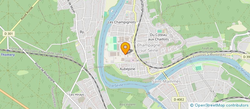 localisation de l'entreprise SARL AE PNEUS ET SERVICES  CHAMPAGNE-SUR-SEINE