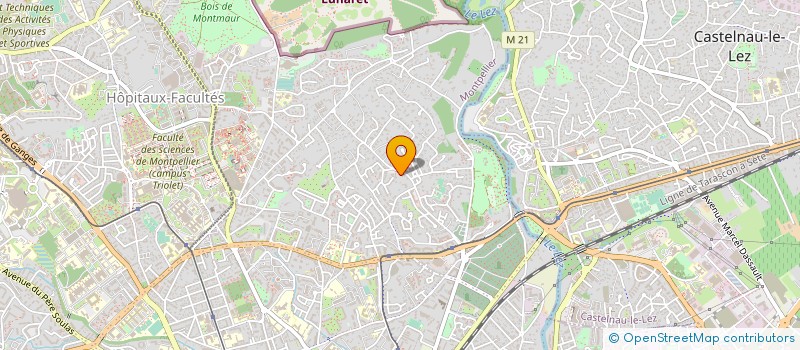 localisation de l'entreprise SARL ARPEGE AFFAIRES  MONTPELLIER