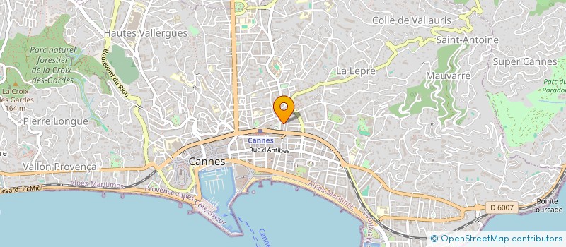 localisation de l'entreprise SARL ARTISAN TAPISSIER à CANNES