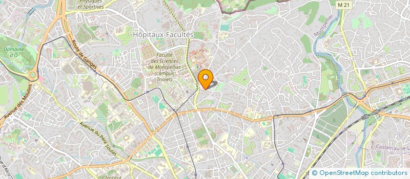 localisation de l'entreprise SARL AU DELICE DU PAIN à MONTPELLIER
