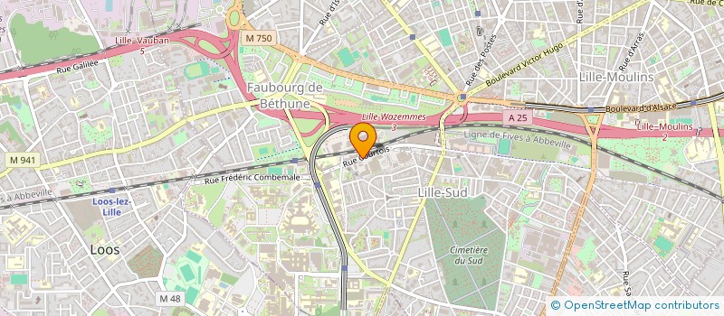 localisation de l'entreprise SARL AVENIR COLOR à LILLE