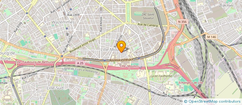 localisation de l'entreprise SARL BAGGIO PIZZA à LILLE