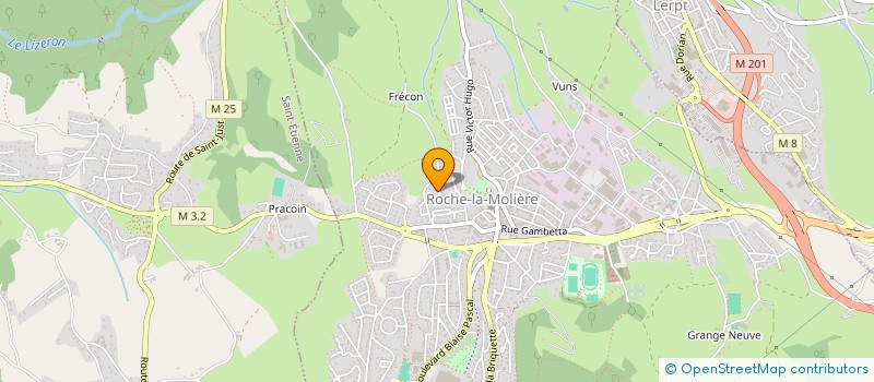 localisation de l'entreprise SARL BASSET PERE & FILS à ROCHE-LA-MOLIERE