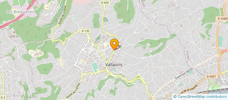 localisation de l'entreprise SARL BEN à VALLAURIS