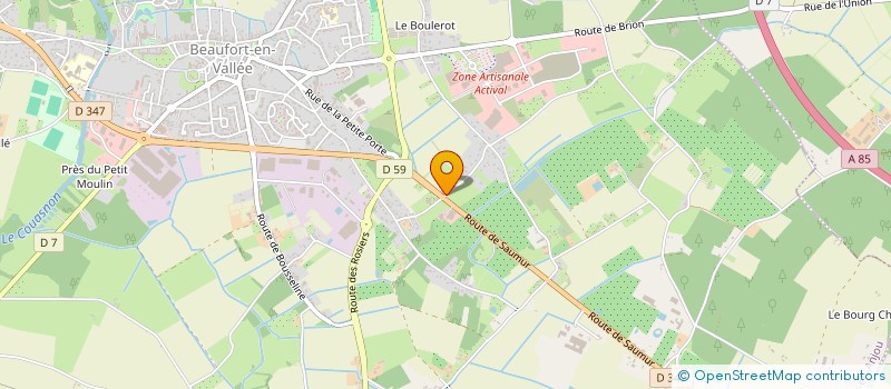 localisation de l'entreprise SARL BIRAUD FLEURS à BEAUFORT-EN-ANJOU
