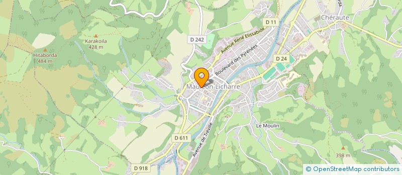 localisation de l'entreprise SARL BOURJOU  ESPES-UNDUREIN